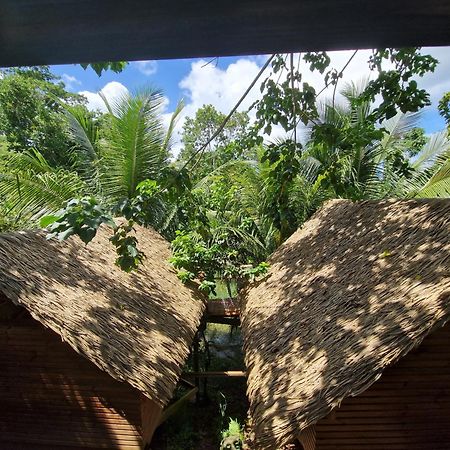 Pura Vida Lodge Cabane Perchee Sainte-Rose Extérieur photo