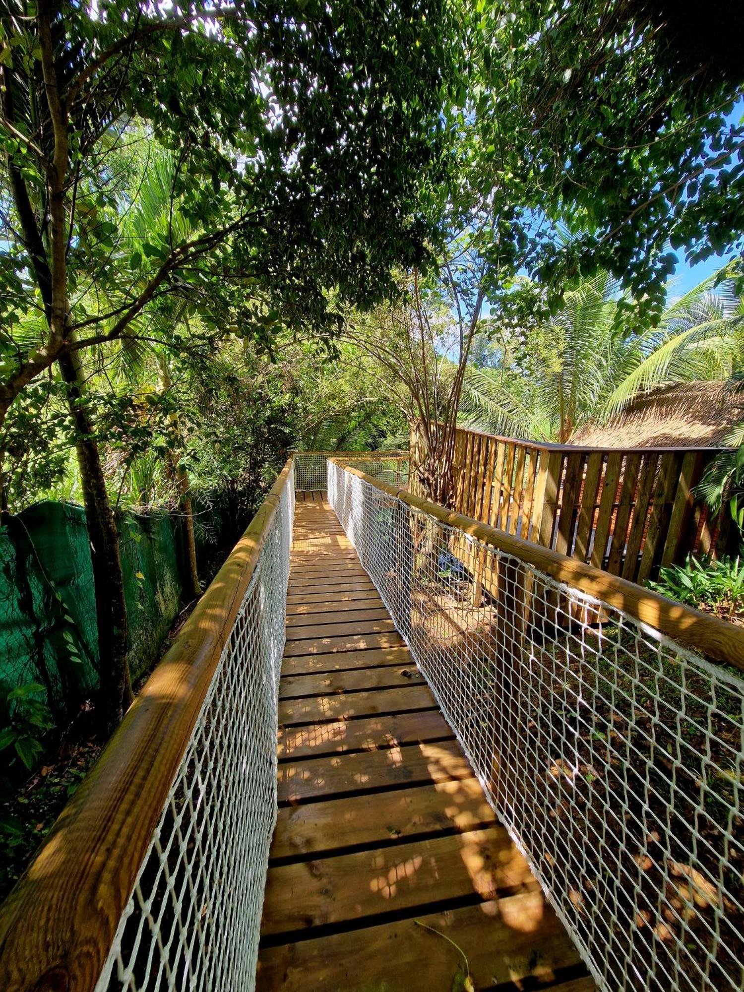 Pura Vida Lodge Cabane Perchee Sainte-Rose Extérieur photo