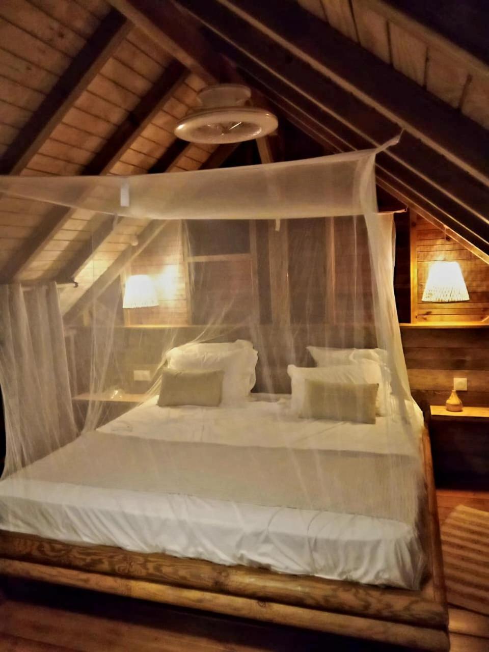 Pura Vida Lodge Cabane Perchee Sainte-Rose Extérieur photo